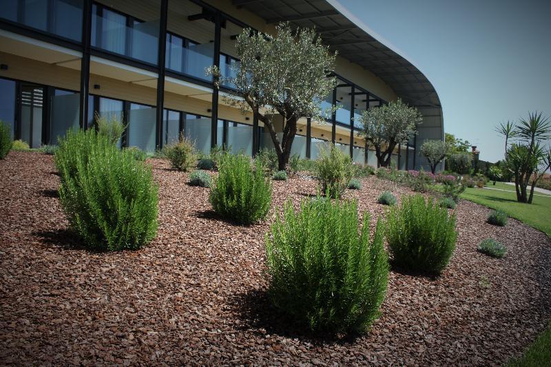 Garca Real Hotel & Spa Tentugal Exterior photo
